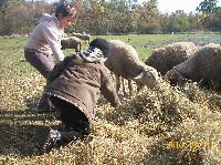 100_1298.jpg