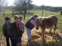 100_1299.jpg
