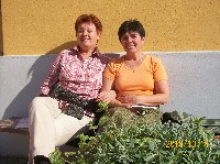 100_1307.jpg