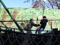 sn850043.jpg