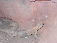 sn850065.jpg