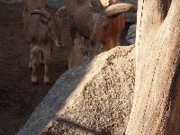 sn850090.jpg