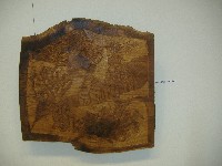 dscf6202.jpg