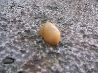 dscf1202.jpg