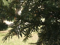 dscf1216.jpg