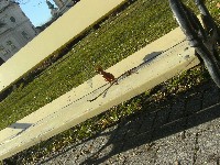 pict0041.jpg