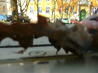 pict0058.jpg