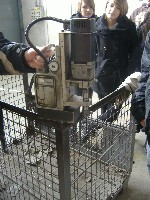 dscf6538.jpg