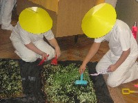 2011_farsang_049.jpg