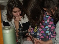tud_st_r_2011_024.jpg