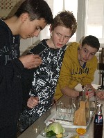 tud_st_r_2011_057.jpg