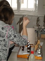 tud_st_r_2011_063.jpg