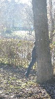 p2090045.jpg