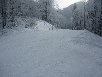 p1020332.jpg
