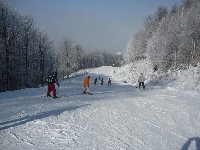 p1020351.jpg