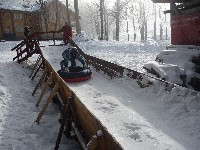 p1020379.jpg