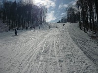 p1060610_174504_1_.jpg