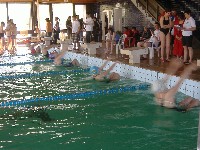 dscf8276.jpg