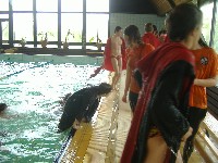 dscf8362.jpg