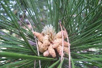 101_4401.jpg