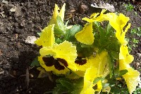 101_4415.jpg