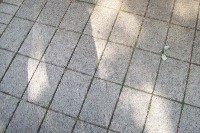 101_4424.jpg