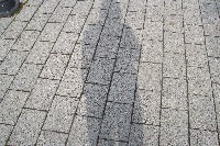 101_4431.jpg