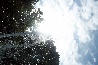 101_4458.jpg