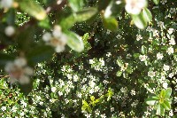 101_4489.jpg