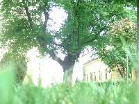 bild1729.jpg