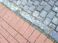 bild1755.jpg