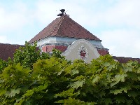 p1110939.jpg