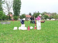 p1050682.jpg
