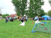 p1050686.jpg