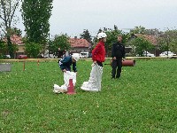 p1050702.jpg