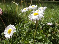 100_0530.jpg