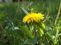 100_0532.jpg