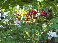 100_0541.jpg