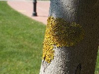 100_0546.jpg