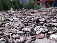 100_0564.jpg