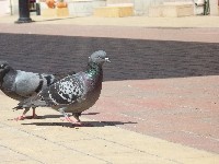 100_0567.jpg