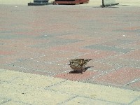 100_0574.jpg