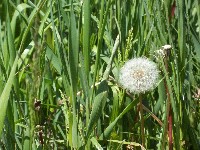 100_0593.jpg