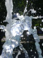 dsc06869.jpg