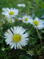 dsc06892.jpg