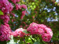 dsc06923.jpg