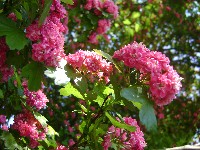 dsc06924.jpg