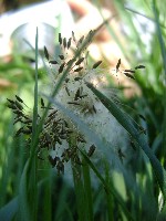 dsc06951.jpg