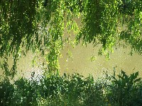 dscf1015.jpg