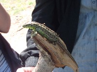 dscf1018.jpg